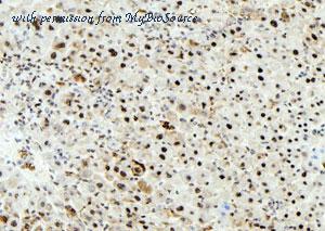 MyBioSource MBS9609341 image 1