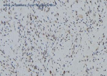 MyBioSource MBS9609805 image 1