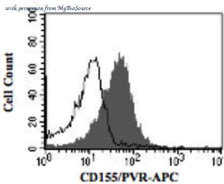 MyBioSource MBS6003156 image 1