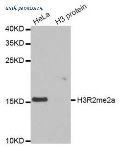 MyBioSource MBS126220 image 1
