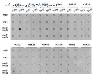 MyBioSource MBS126220 image 2
