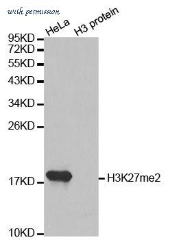 MyBioSource MBS126234 image 1