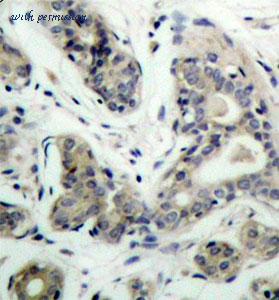 MyBioSource MBS128547 image 2