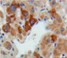 MyBioSource MBS2003276 image 2