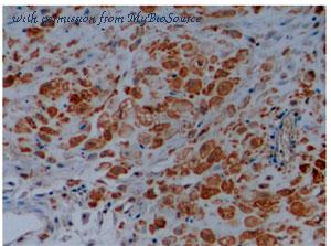 MyBioSource MBS2026035 image 3