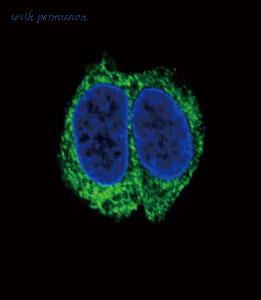 MyBioSource MBS2400063 image 3