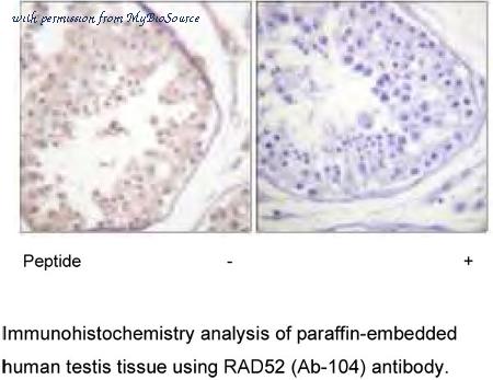 MyBioSource MBS001394 image 1