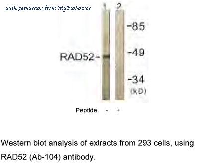 MyBioSource MBS001394 image 2