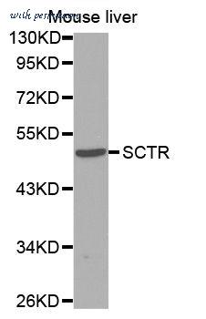 MyBioSource MBS127264 image 1