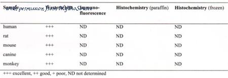 MyBioSource MBS448085 image 1