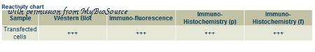 MyBioSource MBS448123 image 1