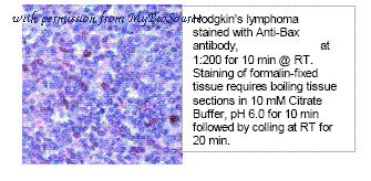 MyBioSource MBS462014 image 1