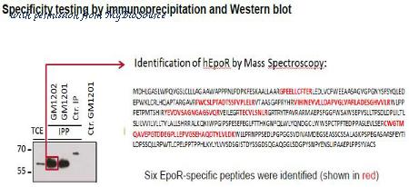 MyBioSource MBS468055 image 1