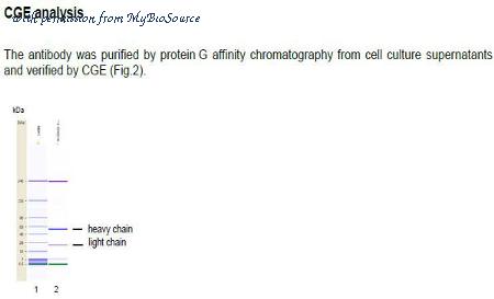 MyBioSource MBS468055 image 2