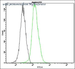 MyBioSource MBS684285 image 1