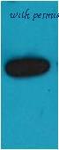 MyBioSource MBS8500314 image 1