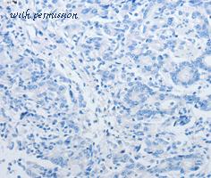 MyBioSource MBS8502240 image 3