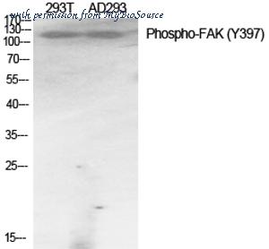 MyBioSource MBS8520513 image 1