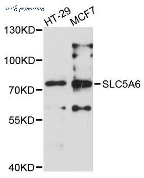MyBioSource MBS9126387 image 1