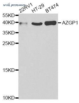 MyBioSource MBS9126862 image 1
