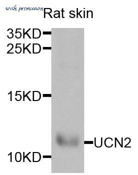 MyBioSource MBS9127650 image 1