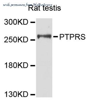 MyBioSource MBS9129086 image 1