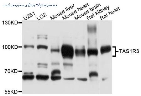 MyBioSource MBS9129731 image 1