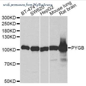 MyBioSource MBS8500966 image 1