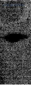 MyBioSource MBS8501473 image 1