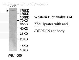 MyBioSource MBS8502990 image 1