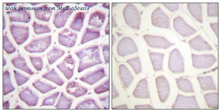 MyBioSource MBS8509495 image 1