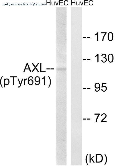 MyBioSource MBS853818 image 2