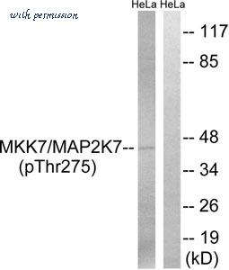MyBioSource MBS854995 image 1