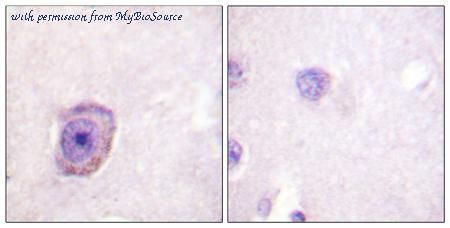 MyBioSource MBS859870 image 1