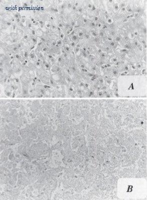 Novus Biologicals NB600-443 image 1