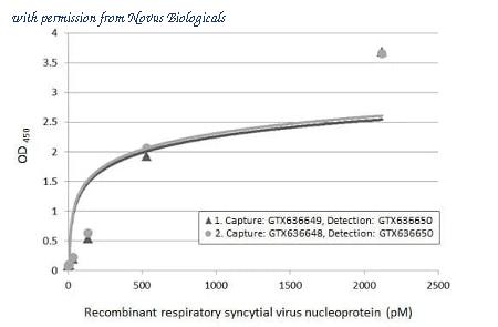 Novus Biologicals NBP3-25626 image 1