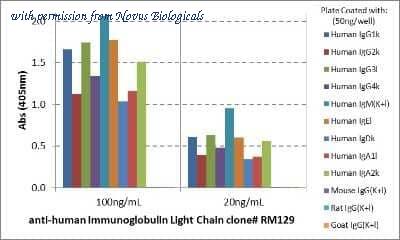 Novus Biologicals NBP2-77396 image 1