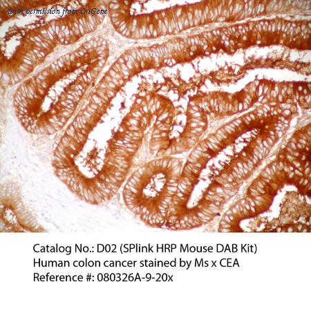OriGene D02-18 image 1