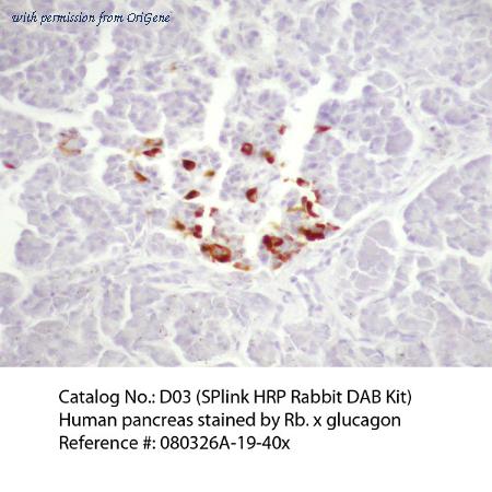 OriGene D03-110 image 1