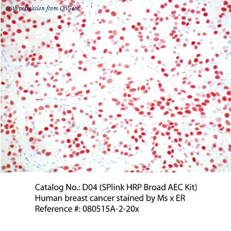 OriGene D04-6 image 1