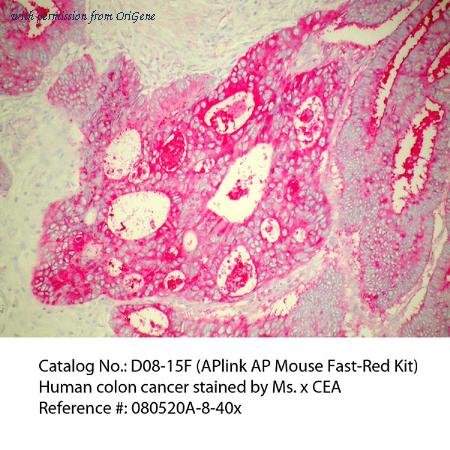 OriGene D08-110 image 1