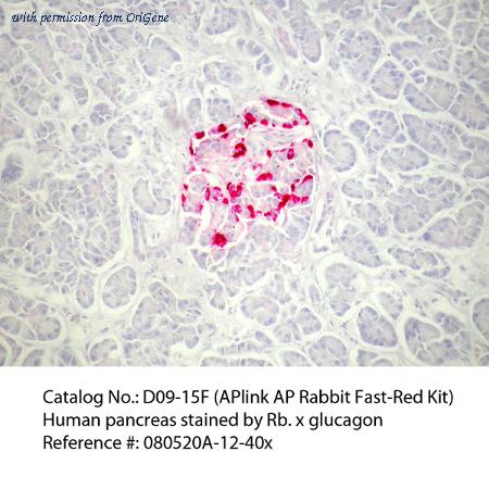 OriGene D09-110 image 1