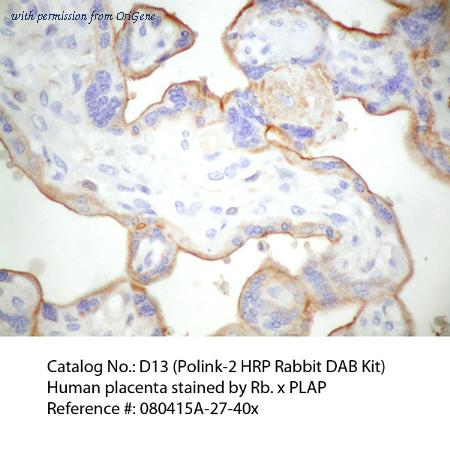 OriGene D13-110 image 1