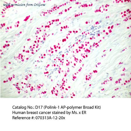 OriGene D17-18 image 1