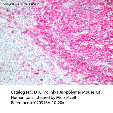 OriGene D18-110 image 1