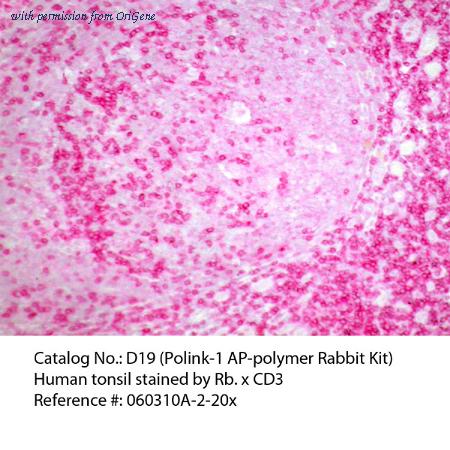 OriGene D19-110 image 1