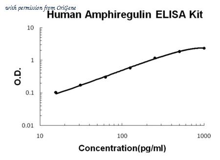 OriGene EA100203 image 1