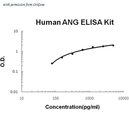 OriGene EA100204 image 1
