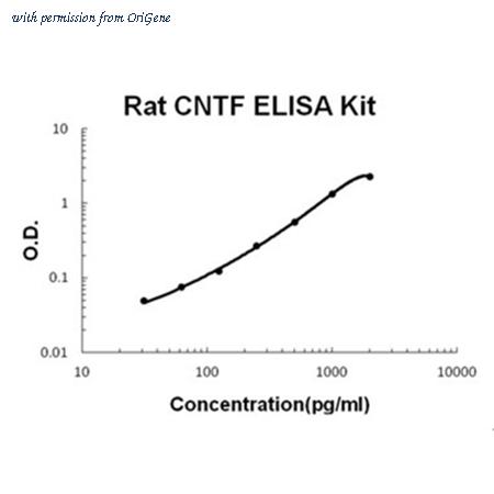 OriGene EA100213 image 1