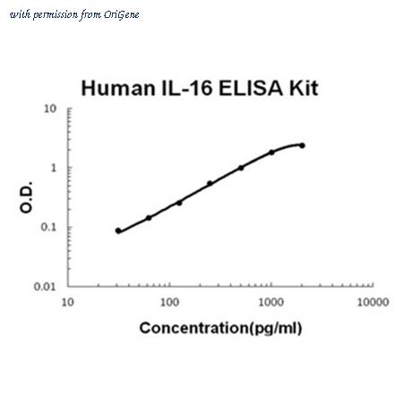 OriGene EA100293 image 1